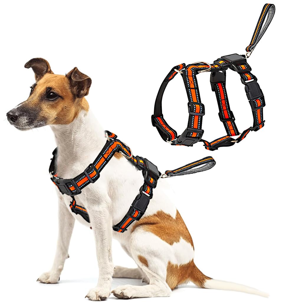 Qpets No Pull Dog Harness for Daily Walks with 59 inch Retractable Leash and Reflective Strips