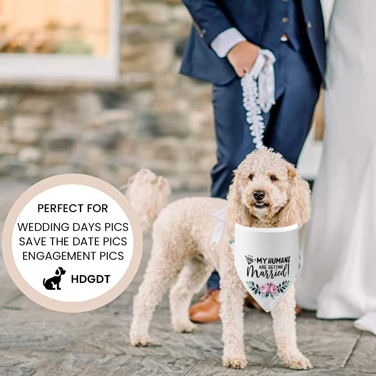 Qpets Dog Bandana Scarf for Wedding and Engagement Photos featuring 70×35×35 cm Fabric | Cat Friendly