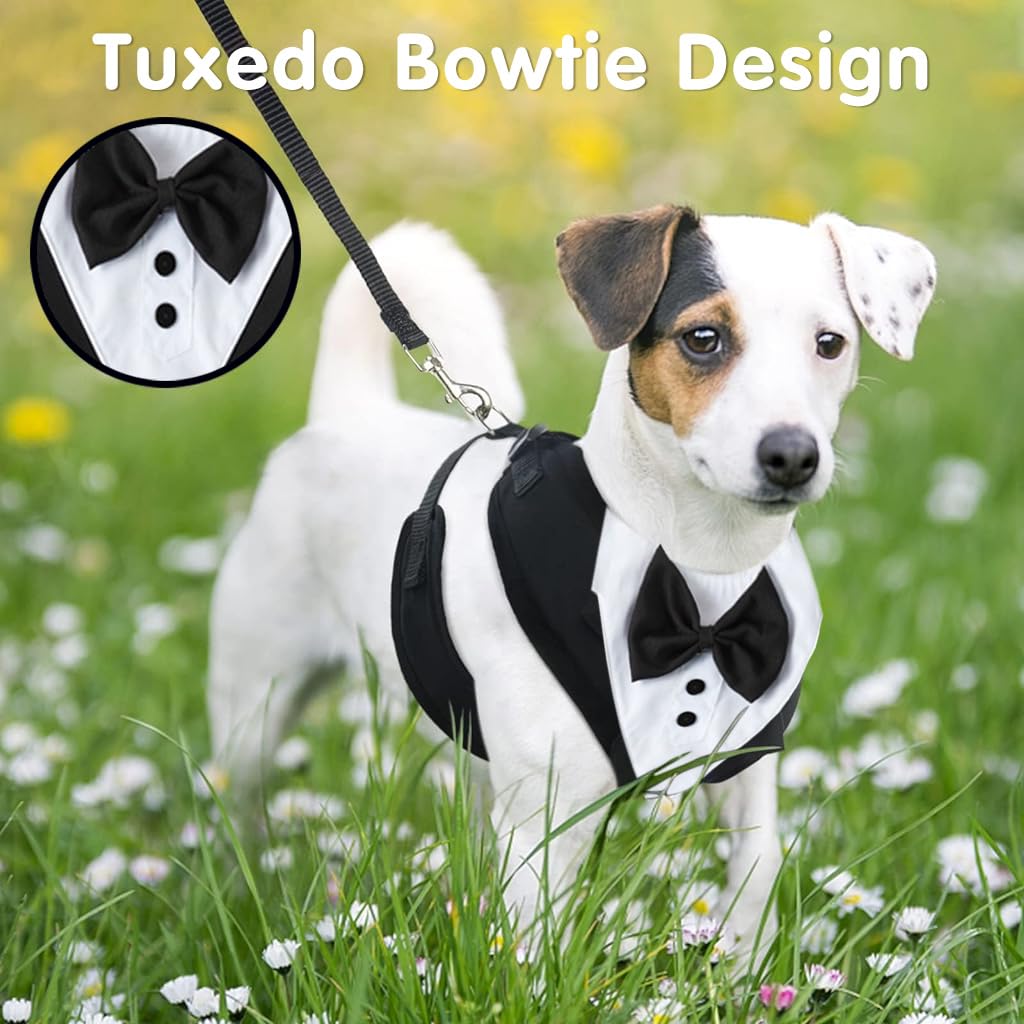 Dog Tuxedo Harness, Fashionable Dog Tuxedo Harness Set with Traction Rope and Chest Harness, Dog Vest Pet Suit Holiday Dress Puppy Kitten Wearing, S