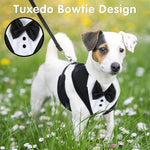 Dog Tuxedo Harness, Fashionable Dog Tuxedo Harness Set with Traction Rope and Chest Harness, Dog Vest Pet Suit Holiday Dress Puppy Kitten Wearing, S