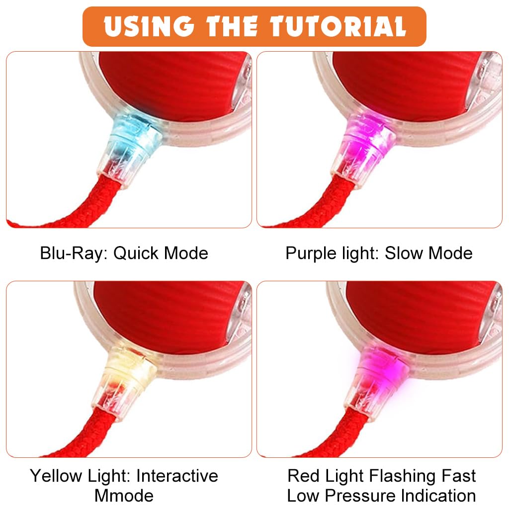 Qpets Dog Toy Ball for Cats and Dogs with Triple Play Modes and USB Rechargeable Design