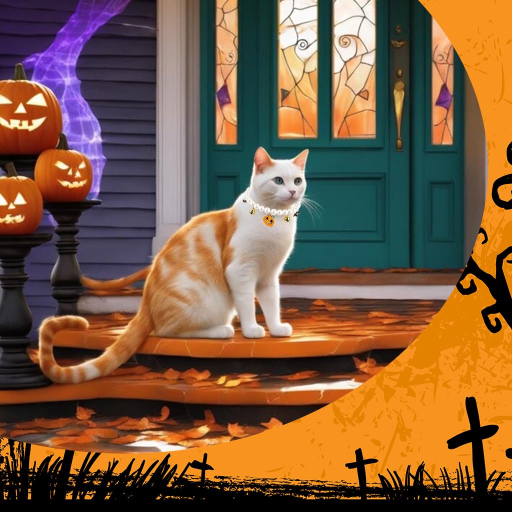Qpets Halloween Cat Collar Necklace with Pearl Beads and Bells for Small Pets 22cm | Pumpkin Charm Design
