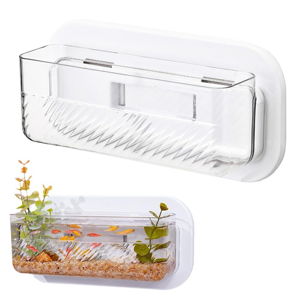 Qpets Wall Fish Tank for Home and Office Decor with Self Adhesive Mount | Transparent Plastic Organizer