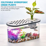 Qpets Betta Fish Tank for Home and Office Decor featuring Hydroponic Pot and Air Lid 32cmX16cm