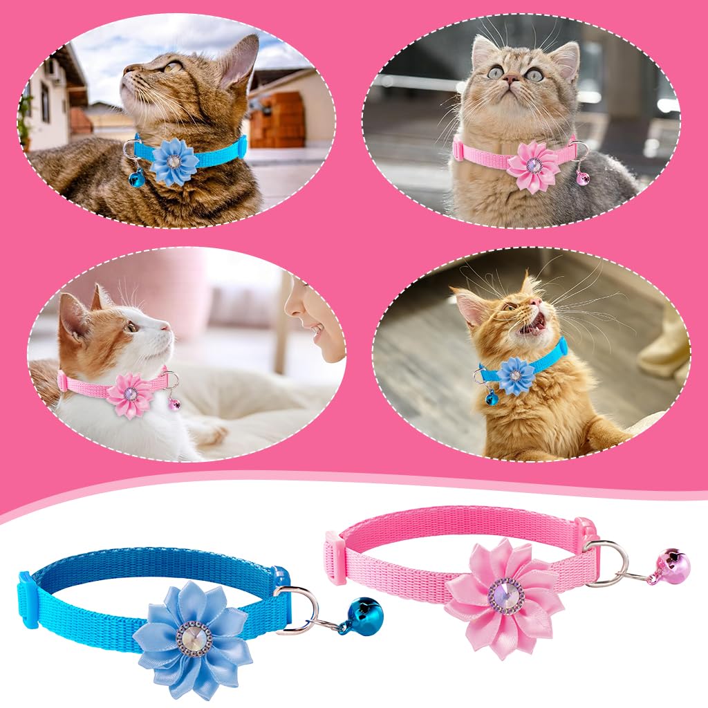 Qpets Cat Collar for Kittens and Small Dogs featuring D Ring and Bell | Adjustable 7.5–12.6 in Set