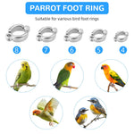 Qpets Parrot Leash for Bird Flying Training with 6.6ft Stretchy Rope and 5 Leg Loops