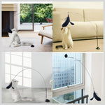 Qpets Cat Teaser Wand with Suction Cup Base featuring Fiberglass Rod and Feather Toy for Indoor Cats