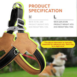 Qpets Reflective Dog Harness for Safe Night Walking with Dual D-Rings and Soft Padded Y-Shape Design