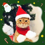 Qpets Christmas Cat Costume Set for Holiday Photos with Adjustable Hat and Scarf 36 cm
