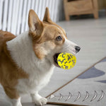 Qpets Dog Ball Toy for Indoor and Outdoor Play with 3 in Size E TPU Material | 2 PCS Set