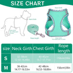 Qpets Dog Harness and Leash for Small Dogs with 4.9ft Leash featuring Dual D-Rings | Breathable Fabric