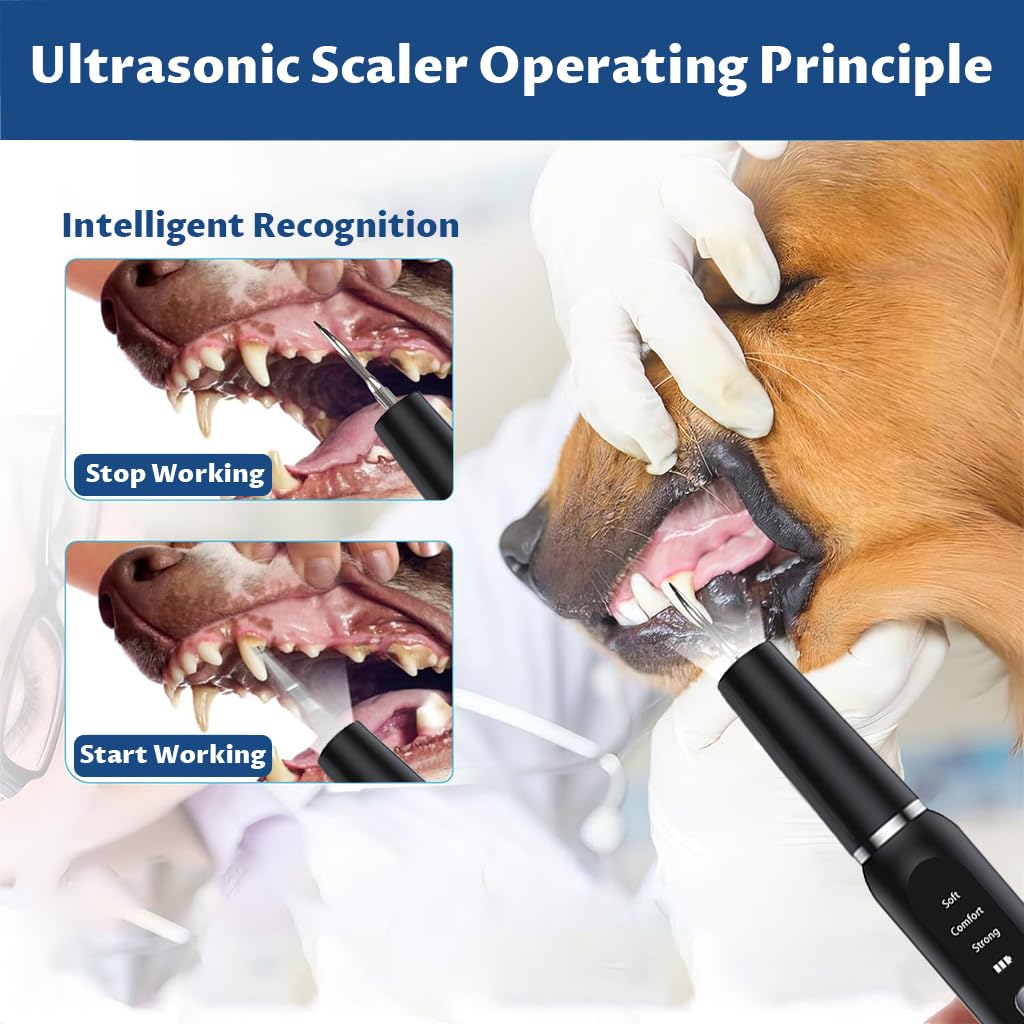 Qpets Electric Teeth Plaque Remover for Dogs with 3-Speed USB Rechargeable Design | Includes 2 Stainless Steel Tips and Dental Mirror