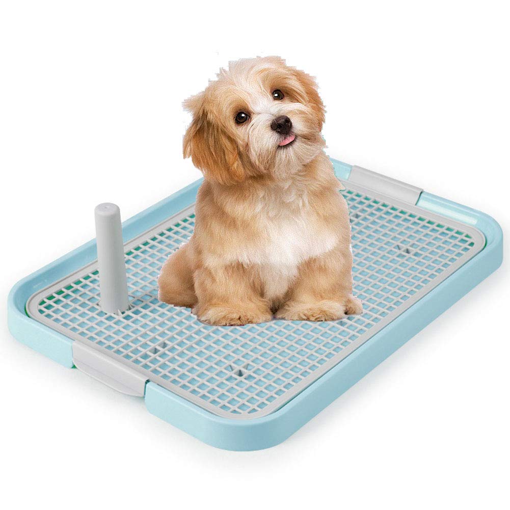 Dog Pet Potty Indoor Training Mesh Toilet, Regular Protect Litter Tray Pan Pad Holder, Keep Paws Dry and Floor Clean (19X 14 Inch, Blue,Suitable for Small Dog)