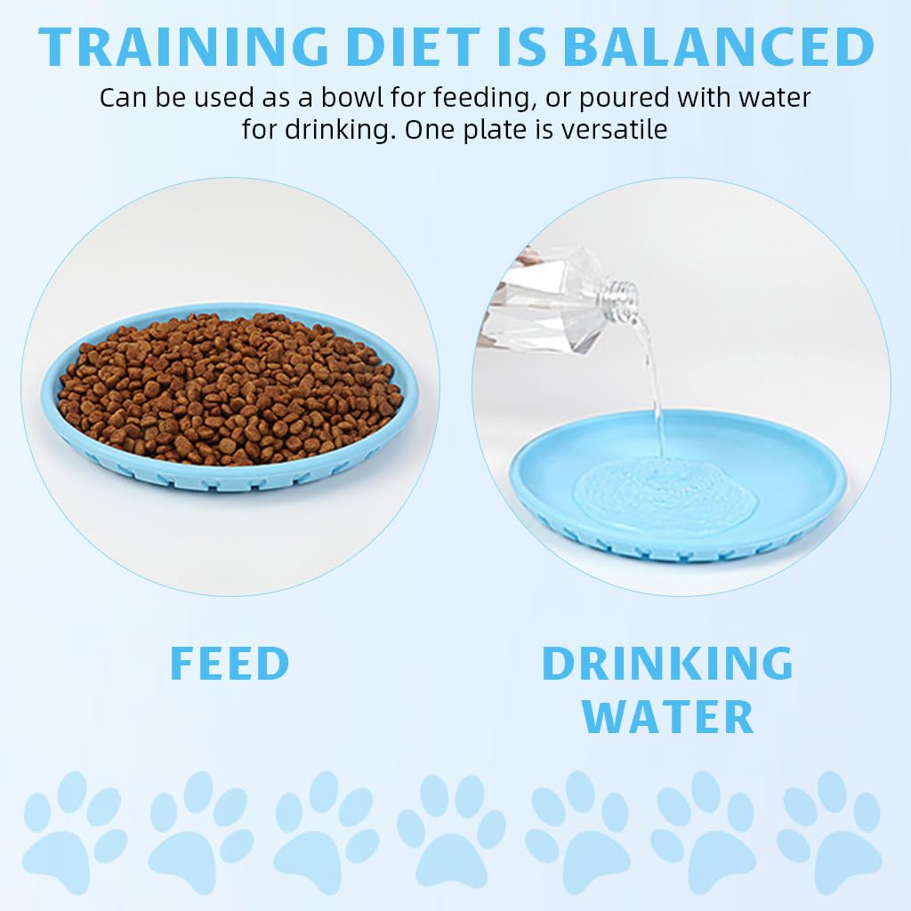 Qpets Flying Disc Toys for Dogs with Aerodynamic Design and 11 in TPR Rubber Build | Floats on Water