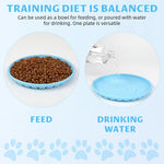 Qpets Flying Disc Toys for Dogs with Aerodynamic Design and 11 in TPR Rubber Build | Floats on Water