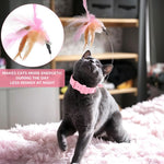 Qpets Cat Toys Feather Collar with 23cm Steel Wire Teasing Toy for Active Indoor Kittens