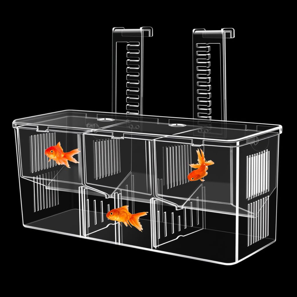 Qpets Aquarium Fish Breeding Box for Fry and Isolation with Double Layer Design 17.5x9x11cm | Clear Acrylic Floating Hatchery