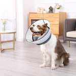 Qpets® Dog Cone Collar, Inflatable Cushion Pillow Cone Collar for Dog Adjustable Hook and Loop Closure, After Surgery Dog Recovery Cone Collar Protective Collar for Dogs Cats - L