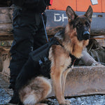 Qpets Tactical Dog Harness for Outdoor Adventures with Quick Release Buckles & Lifting Handle | Oxford Cloth Vest for Medium Large Dogs 30–45kg