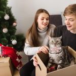 Qpets Cat Collar with Quick Release Buckle and Soft Adjustable Plush Material | Pink Beige Flower and Silver Bell for Cats