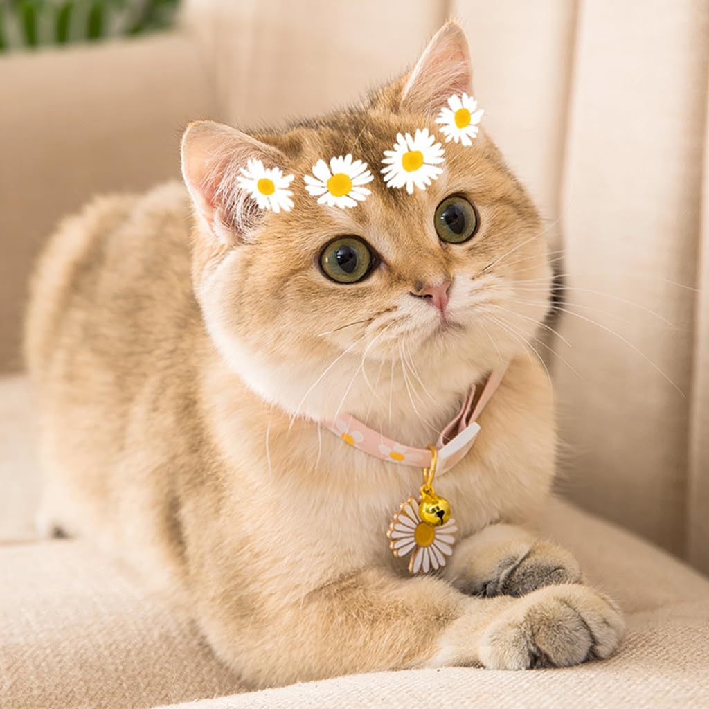 Qpets Cat Collar for Daily Wear with Quick Release Buckle and Bell | Adjustable 18–32cm Cotton