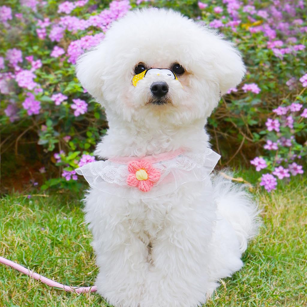 Qpets Cat Harness With Leash for Outdoor Adventures featuring Adjustable Strap and Plush Flower Design | Fits 3.5–7.5 kg Cats