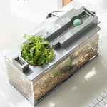 Qpets Small Fish Tank for Betta Fish with LED Light and Air Pump 31.5×13×16.5cm | USB Powered Hydroponics Pot for Home Office Decor