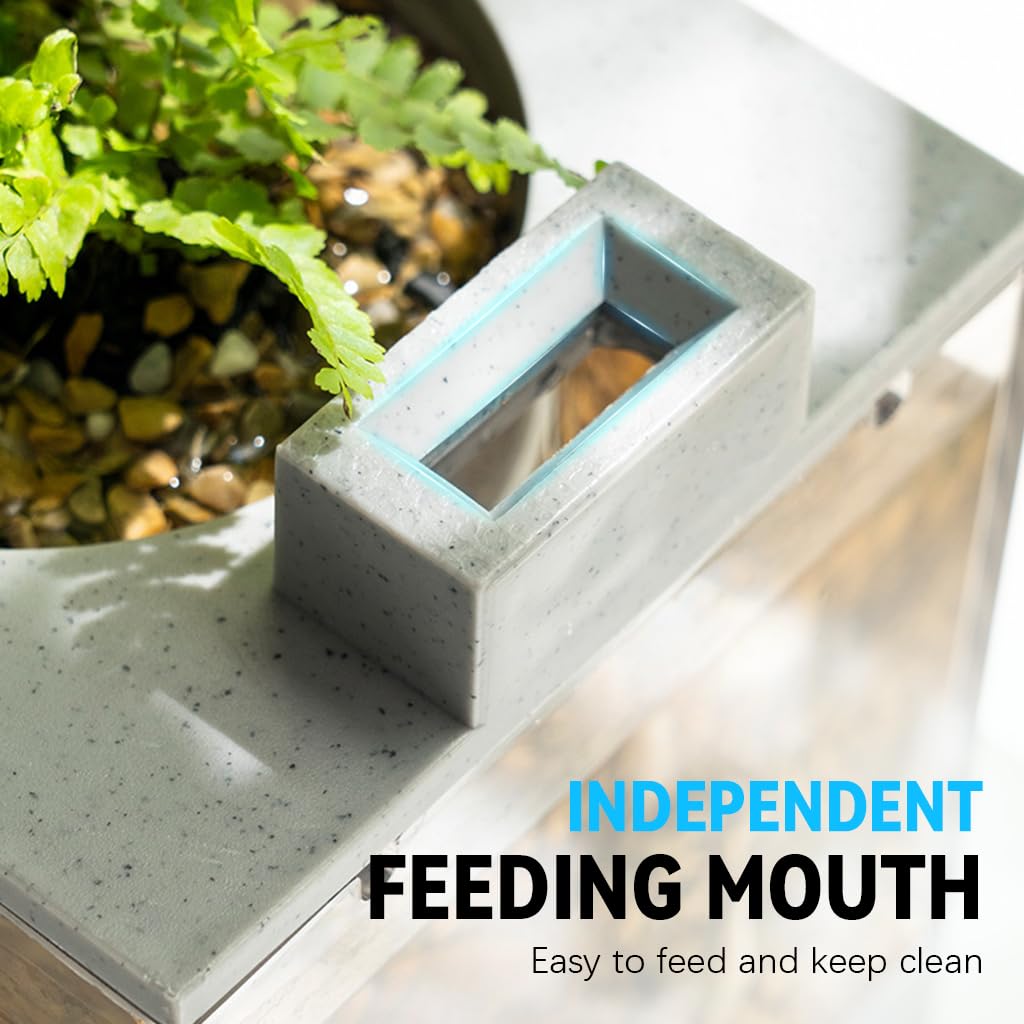 Qpets Small Fish Tank for Betta Fish with LED Light and Air Pump 31.5×13×16.5cm | USB Powered Hydroponics Pot for Home Office Decor