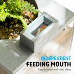 Qpets Small Fish Tank for Betta Fish with LED Light and Air Pump 31.5×13×16.5cm | USB Powered Hydroponics Pot for Home Office Decor