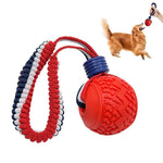 Qpets Dog Chew Toy Ball for Interactive Play with Nylon Braided Loop Handle and TPR Teething Relief