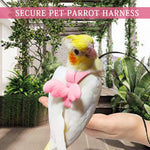 Qpets Pet Parrot Harness for Outdoor Flying with 2 m Elastic Leash and Quick Release Strap | Lightweight Adjustable Design