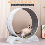 Qpets Cat Exercise Wheel for Running and Walking with Removable Scratcher Track 80x34cm | Silent Bearings and Anti Slip Base
