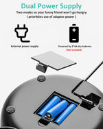 Qpets® Automatic Feeder for Dogs Cats, 4L Automatic Feeder with Stainless Steel Bowl Smart Dry Food Dispenser, Food Dispenser with Timer & Portion Control for Medium & Small Pets