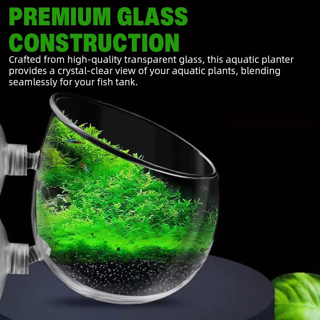 Qpets Aquatic Plant Glass Pot for Aquarium with Dual Suction Cups and Slanted Mouth | Clear Planter for Fish Tank Decor