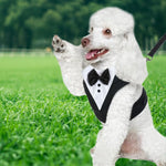 Dog Tuxedo Harness, Fashionable Dog Tuxedo Harness Set with Traction Rope and Chest Harness, Dog Vest Pet Suit Holiday Dress Puppy Kitten Wearing, M