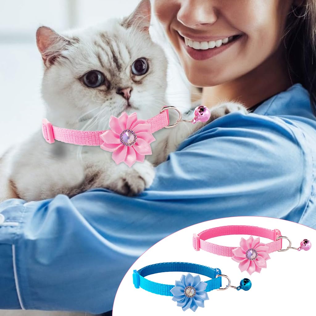 Qpets Cat Collar for Kittens and Small Dogs featuring D Ring and Bell | Adjustable 7.5–12.6 in Set