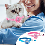 Qpets Cat Collar for Kittens and Small Dogs featuring D Ring and Bell | Adjustable 7.5–12.6 in Set