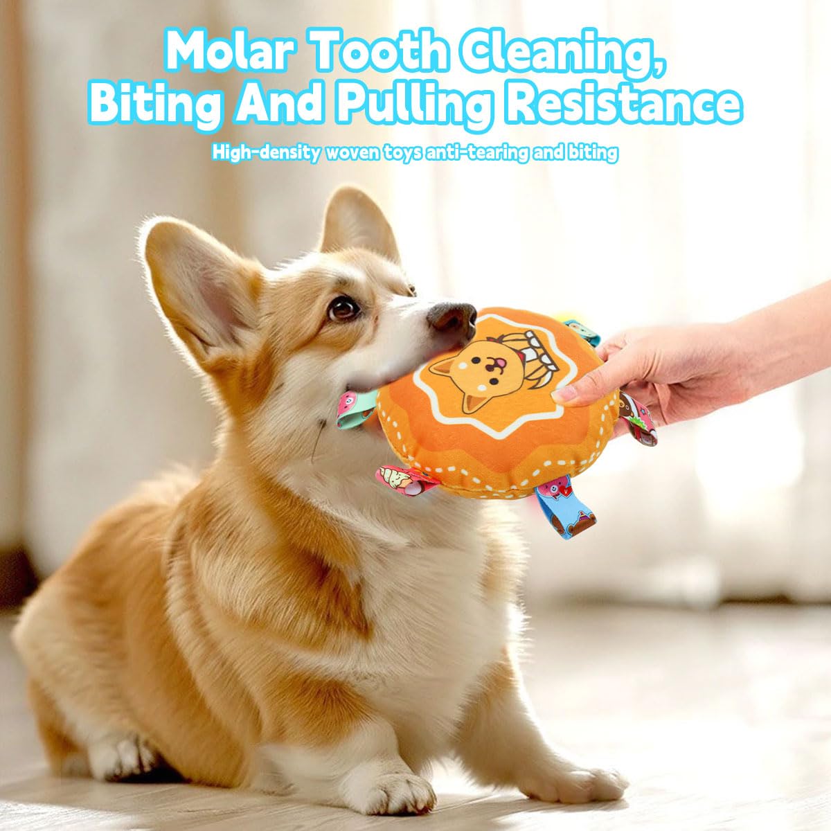 Qpets Dog Toy 6.3 in Round Rattle Toy with Squeaky Sound and Soft Plush for Cats and Dogs