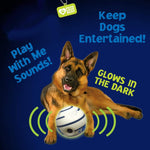 Qpets Interactive Dog Toy Ball for Fetch and Training with 14cm Glow Sound Tubes | Eco PVC