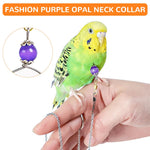 Qpets Parrot Chain Harness for Outdoor Use with 50cm Chain and Quick Release Buckle | Purple Opal Charm Collar