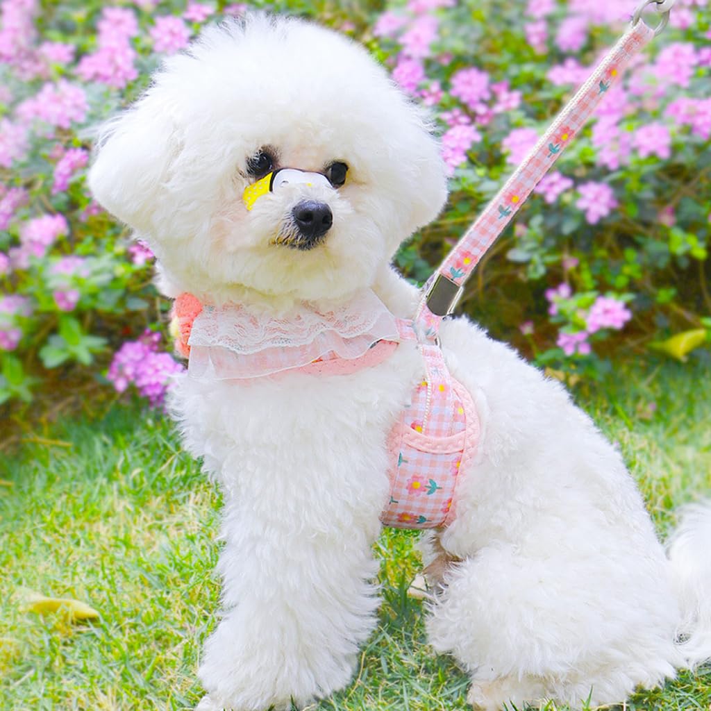 Qpets Cat Harness with Leash for Walking featuring Adjustable Strap and D-ring | Pink Flower Design for Small Cats 1.5–3.5 kg