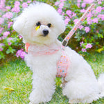 Qpets Cat Harness With Leash for Outdoor Adventures featuring Adjustable Strap and Plush Flower Design | Fits 3.5–7.5 kg Cats