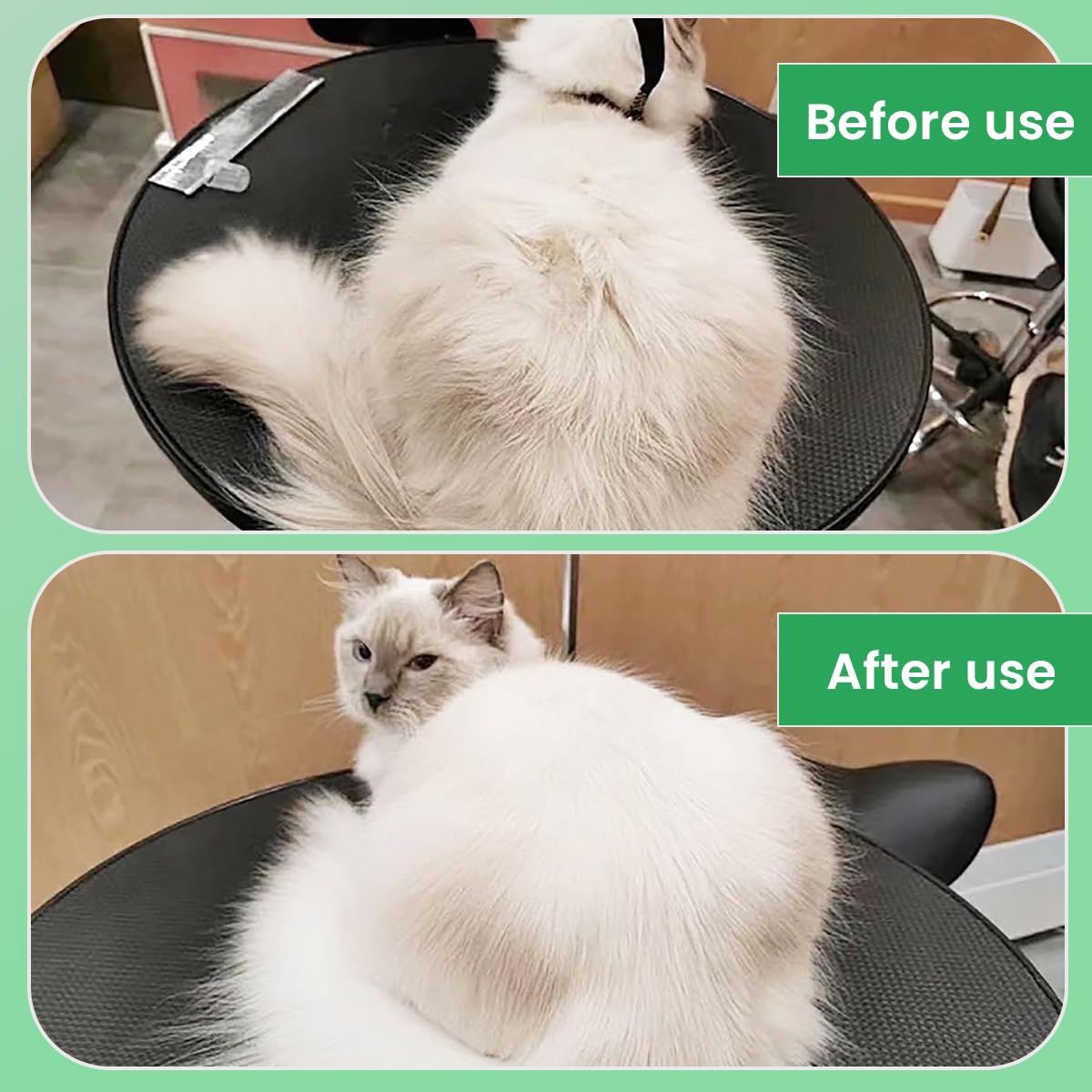 Qpets Pet Grooming Brush for Dogs and Cats with Steam and UV Light | USB Rechargeable Massage Comb