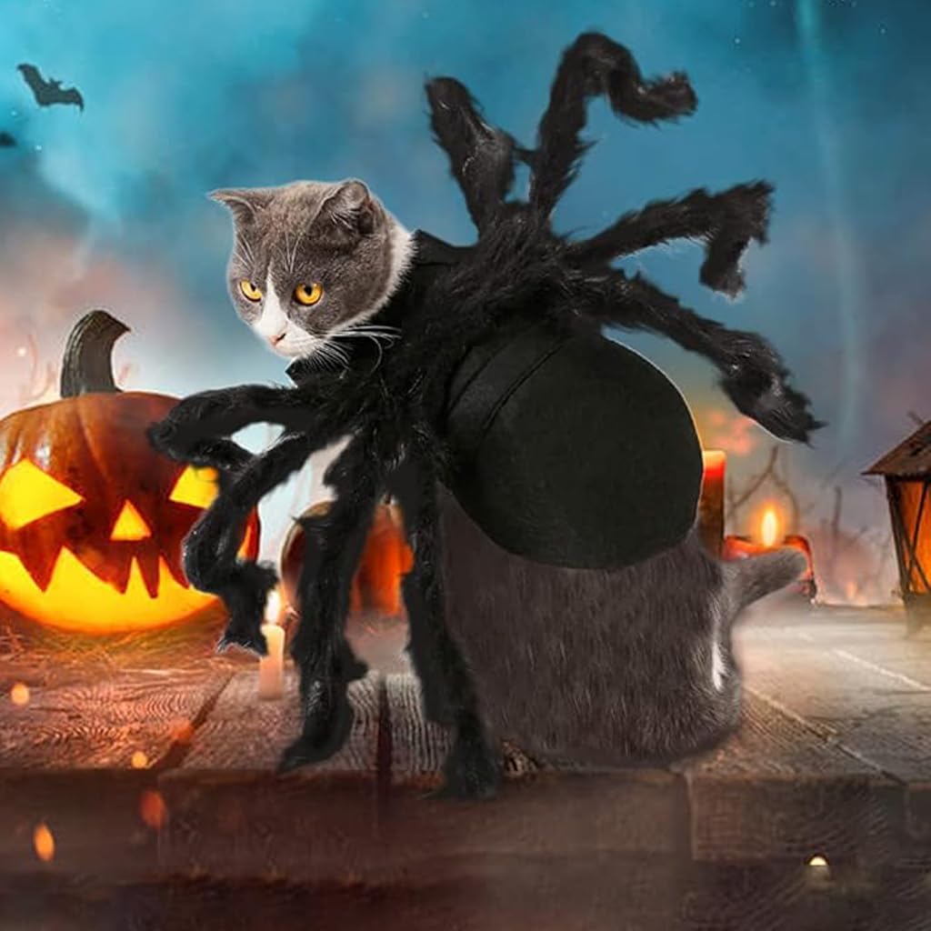 Qpets Halloween Dog Costume for Small Pets featuring 8-Claw Black Spider Design | Adjustable Fit