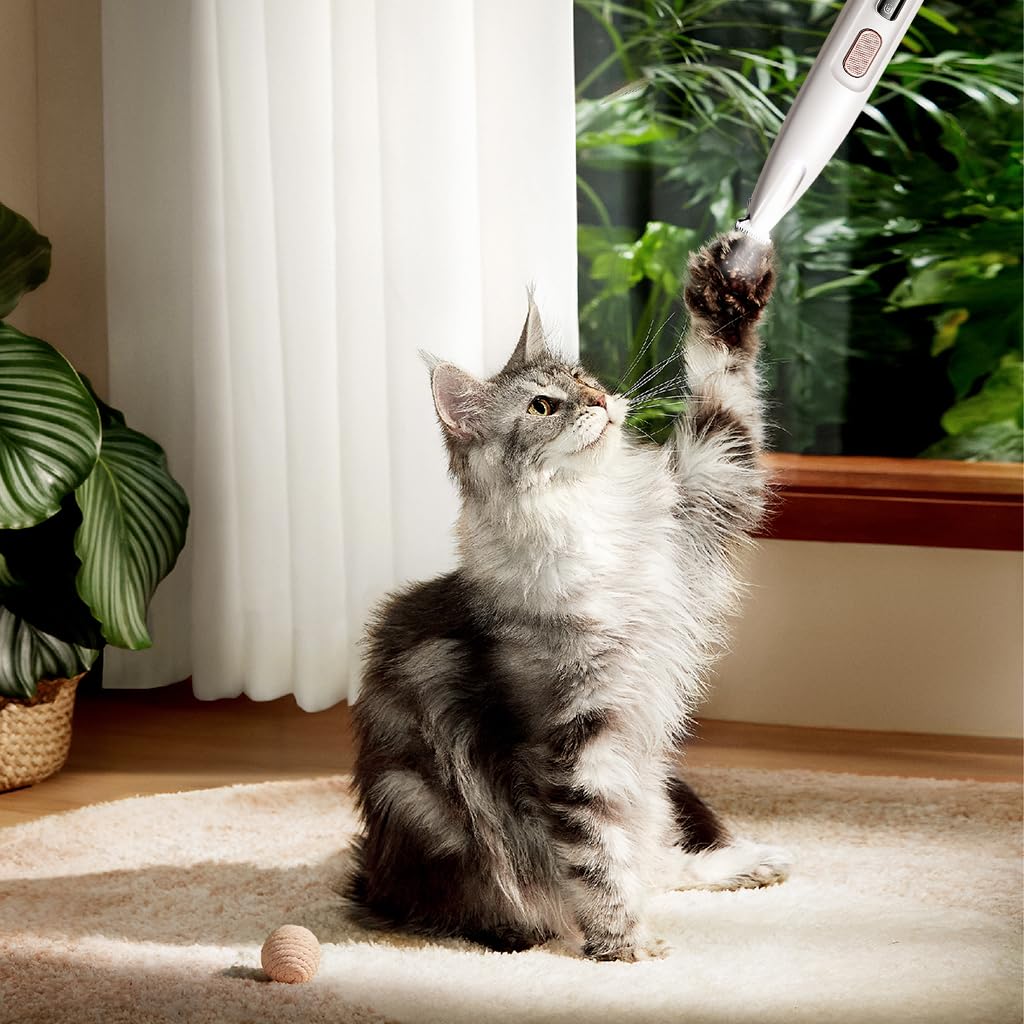 Qpets Dog Paws Hair Trimmer with 18mm Wide Blade and LED Light for Precise Grooming | Waterproof USB Rechargeable Pet Tool