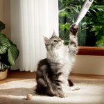 Qpets Dog Paws Hair Trimmer with 18mm Wide Blade and LED Light for Precise Grooming | Waterproof USB Rechargeable Pet Tool