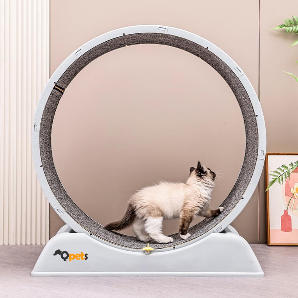 Qpets Cat Exercise Wheel for Running and Walking with Removable Scratcher Track 80x34cm | Silent Bearings and Anti Slip Base