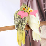 Qpets Parrot Bird Harness for Outdoor Flight with 2m Elastic Leash and Angel Wings | Pink M