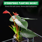 Qpets Aquarium Plant Holder for Fish Tanks featuring Screw Fixed Mount and Draining Holes 8×8×5.7 cm | Clear Acrylic Basket for Freshwater and Saltwater Aquariums