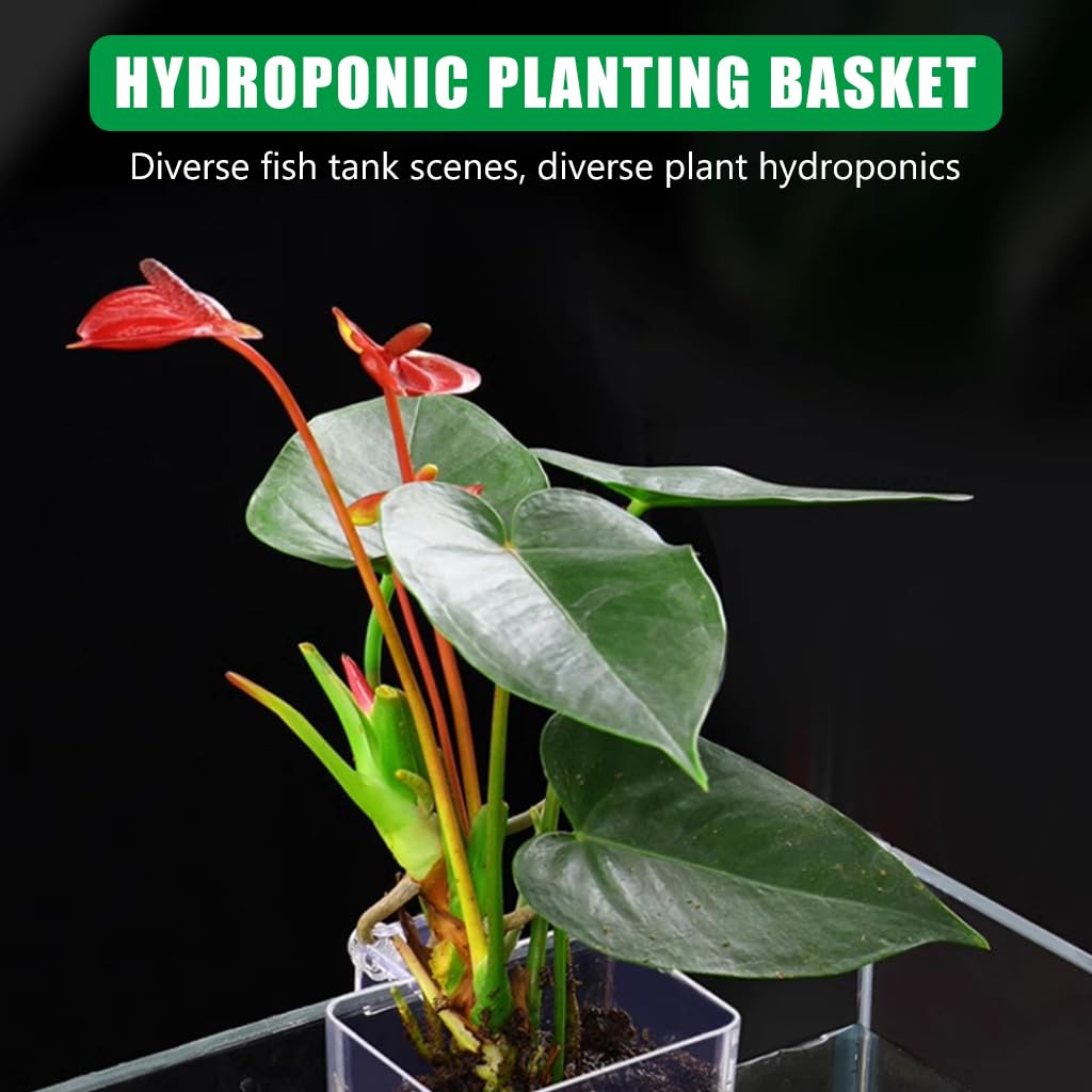 Qpets Aquarium Plant Holder for Glass Fish Tanks with Screw Fixed Design 8 x 8 x 5.7 cm 3 pcs